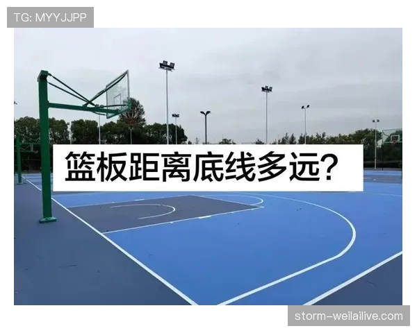 深度解析篮球场上抢篮板犯规判定的具体规则